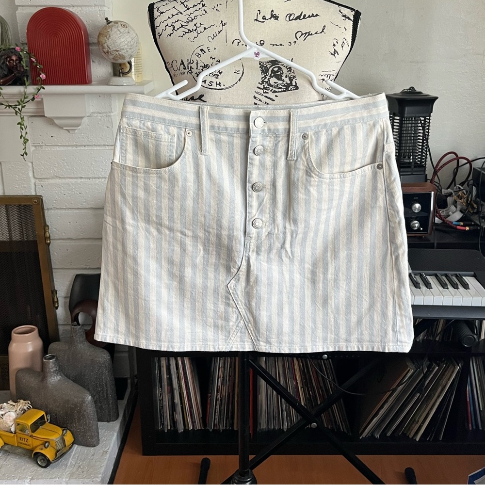 Madewell Stripe Skirt | Size 30